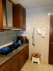 Dover Parkview (D5), Condominium #482749711